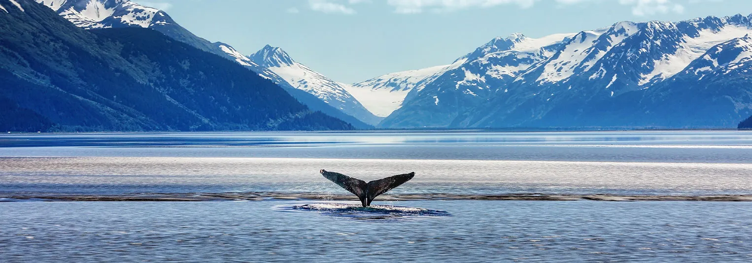 banner-alaska-cruise-packages-what-included-and-what-not-1